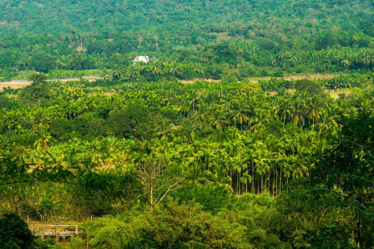 Lermitage Farms Kashid Alibaug Villa Kültér fotó