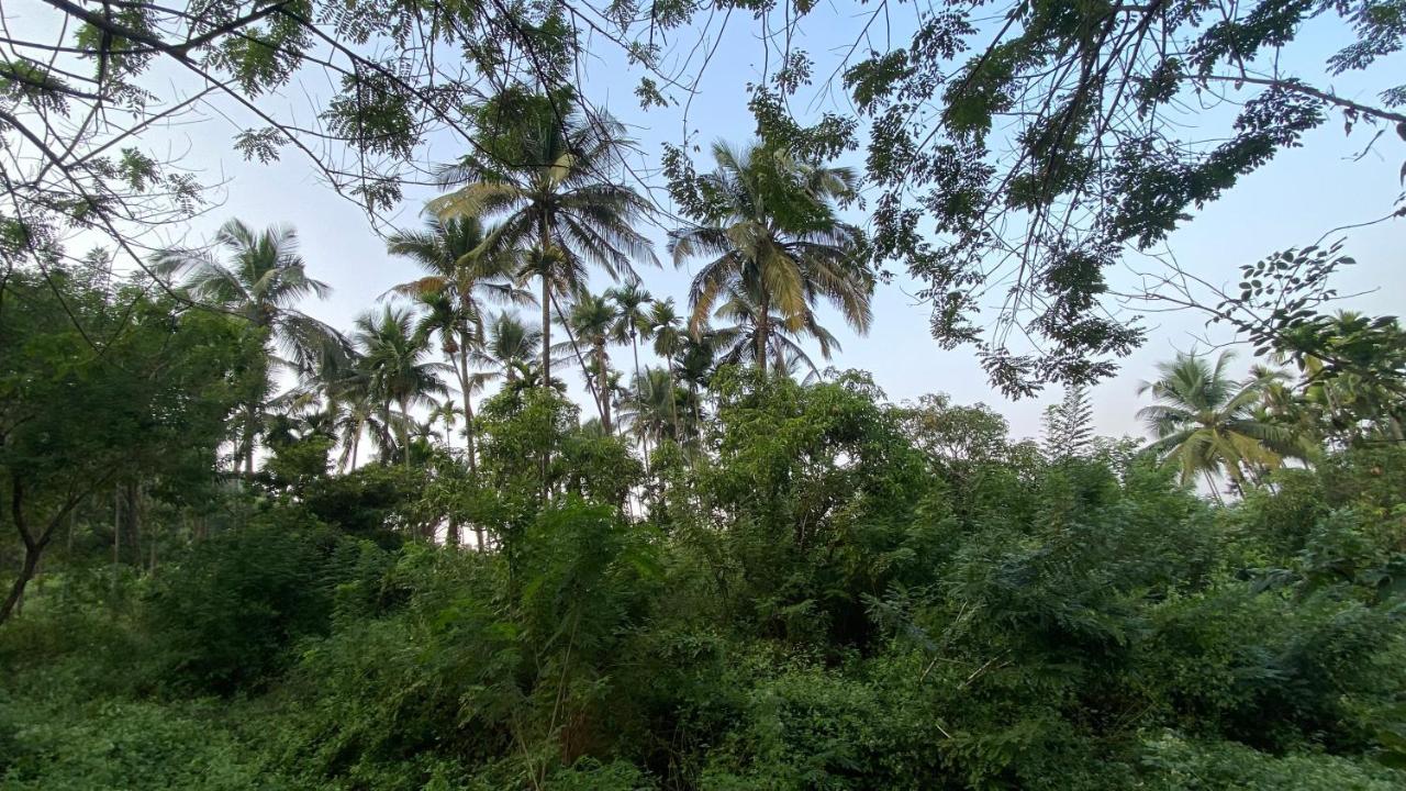Lermitage Farms Kashid Alibaug Villa Kültér fotó