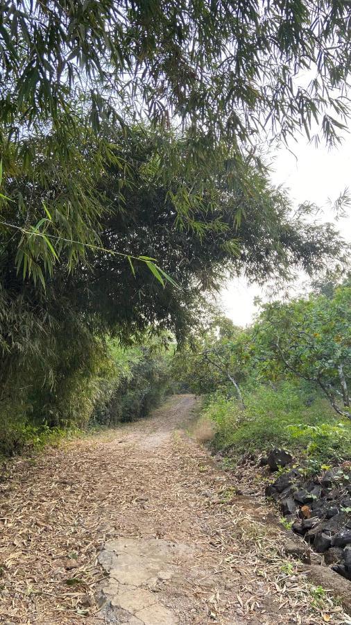 Lermitage Farms Kashid Alibaug Villa Kültér fotó