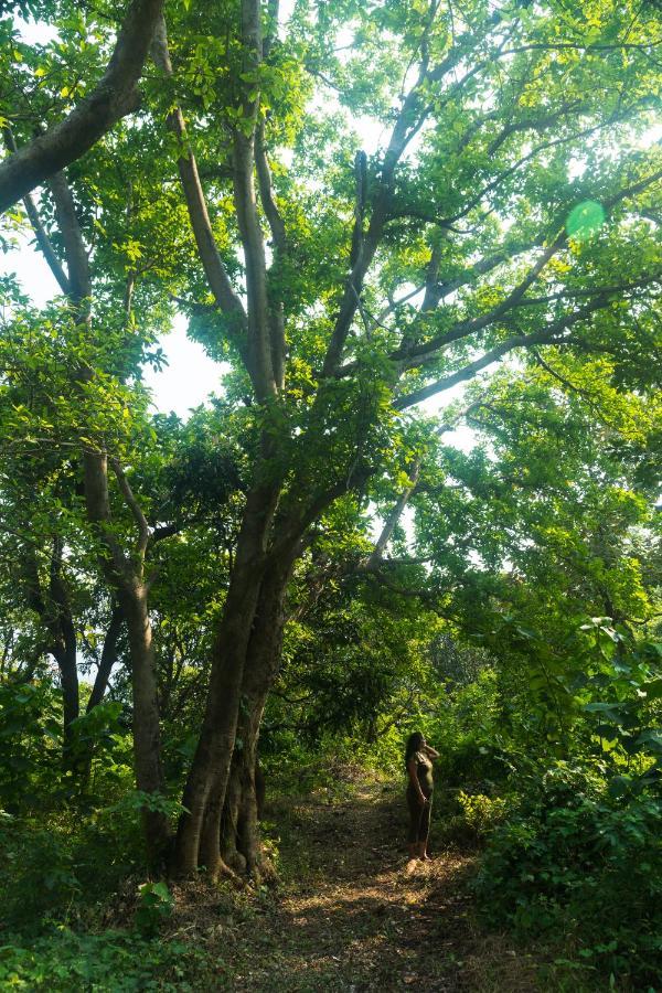 Lermitage Farms Kashid Alibaug Villa Kültér fotó